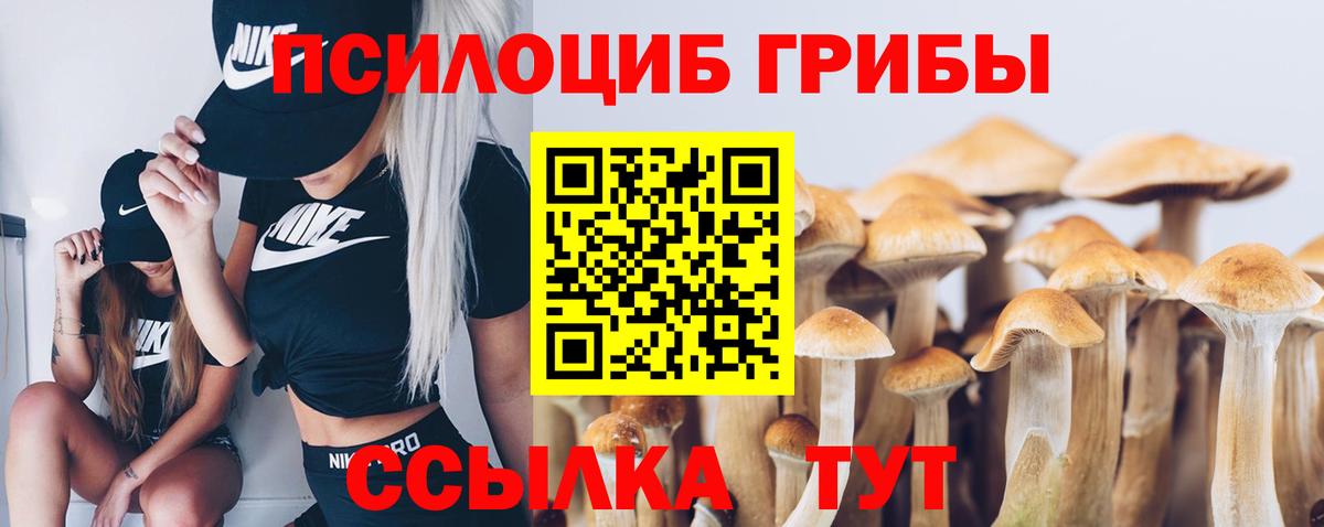 Галлюциногенные грибы Cubensis  Вход с VPN  Ханты-Мансийск 